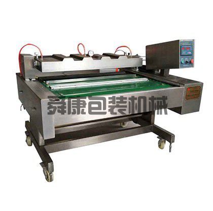 DZ-1100型自動真空包裝機(jī)